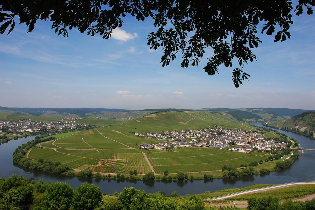 Gaestehaus & Weingut Cluesserath-Weiler Trittenheim Buitenkant foto